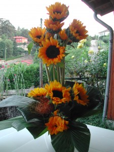 DSCN6027